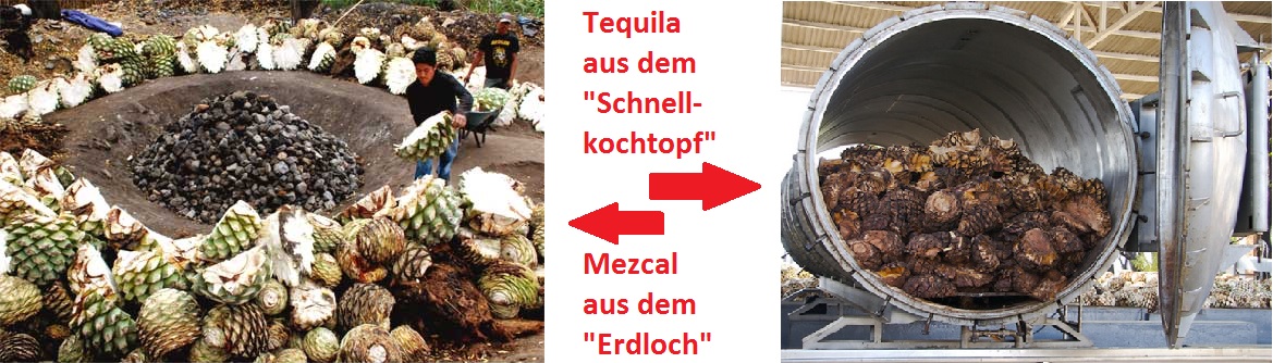 Produktion Mezcal und Tequila