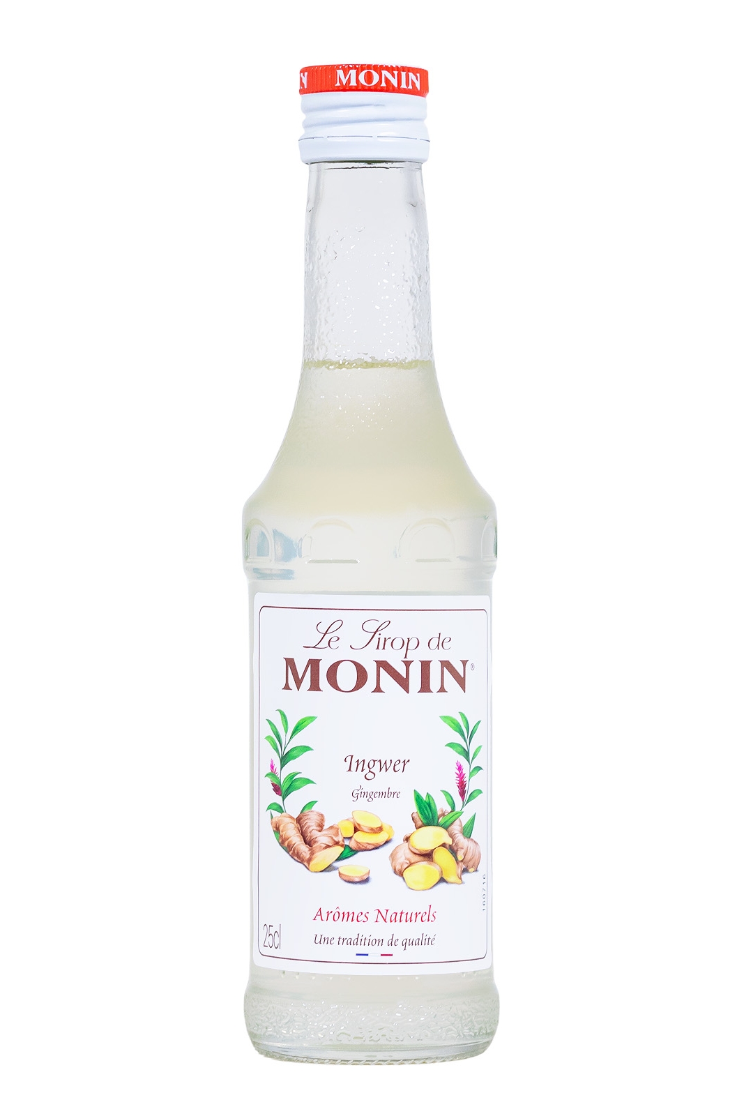 Monin Ingwer Gingembre Sirup - 0,25L