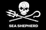 Sea Shepherd