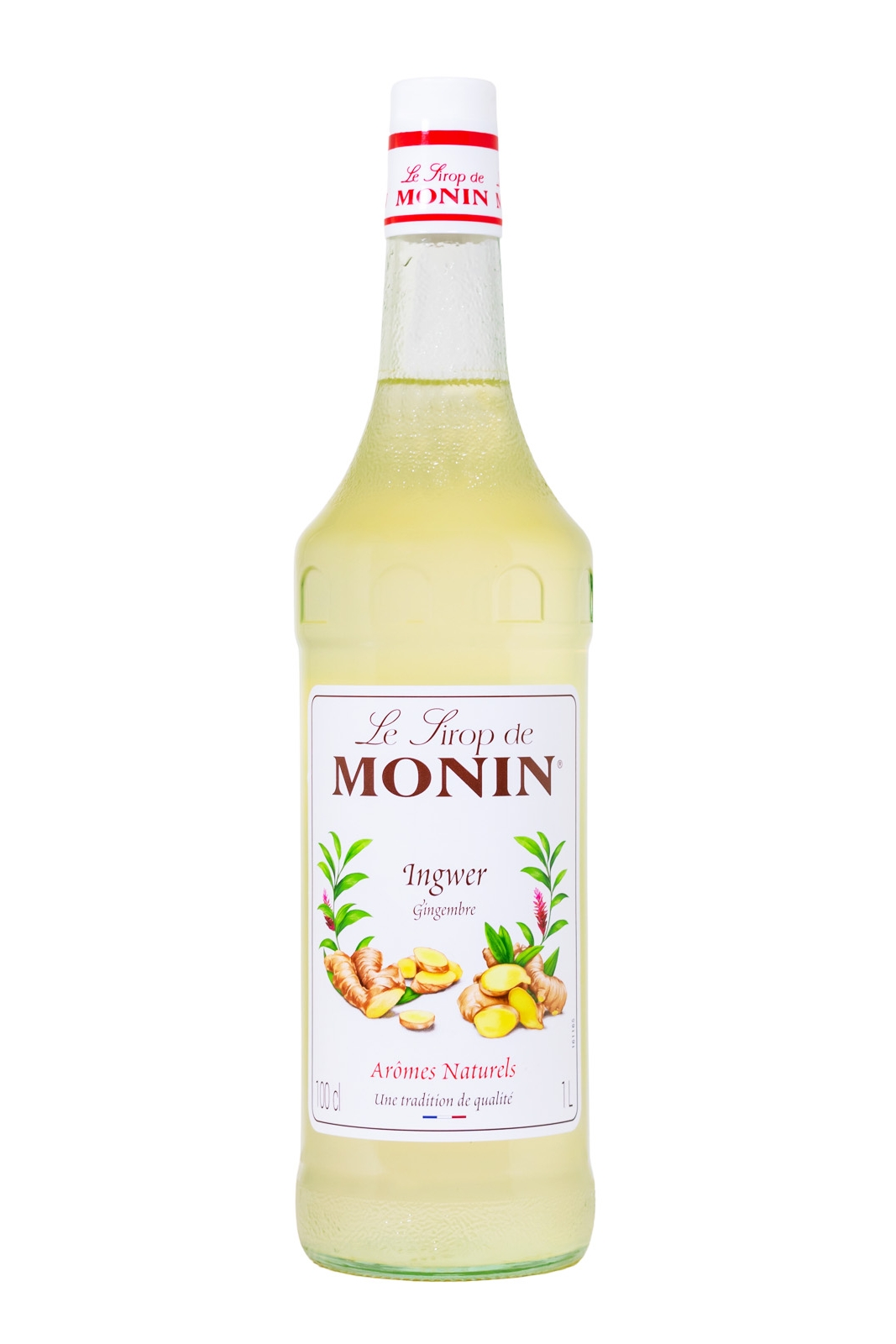 Monin Ingwer Gingembre Sirup - 1 Liter