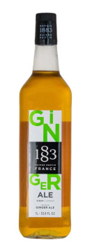 Maison Routin Ginger Ale Sirup PET - 1 Liter