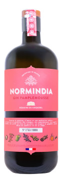 Normindia Pamplemousse Gin - 0,7L 41,4% vol